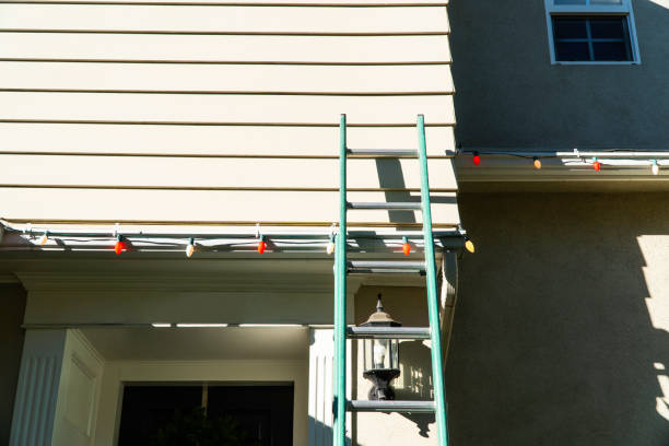 Best Residential Vinyl Siding Installation  in Farngton, MI