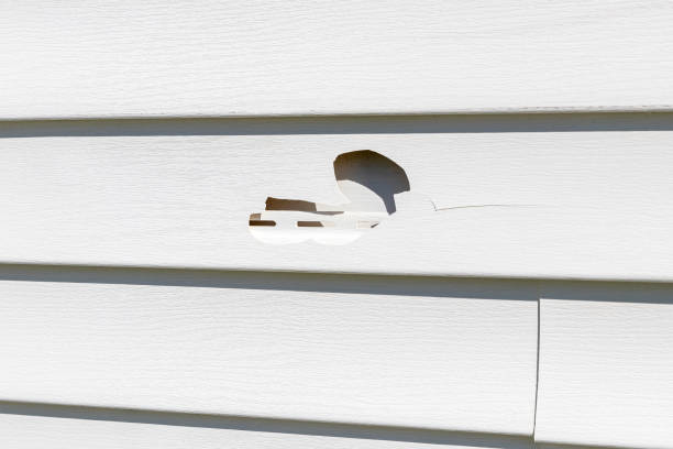 Affordable siding repair and maintenance services in Farmington, MI