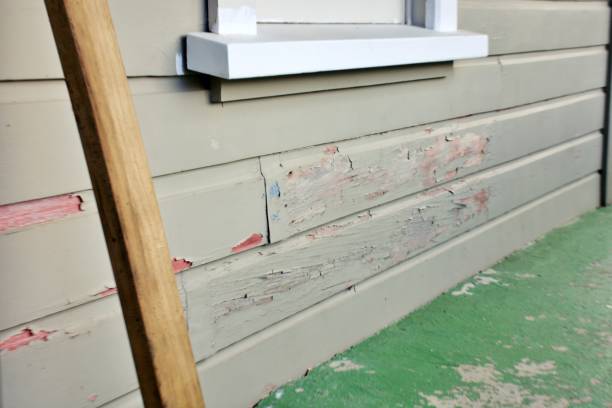 Best Residential Vinyl Siding Installation  in Farngton, MI